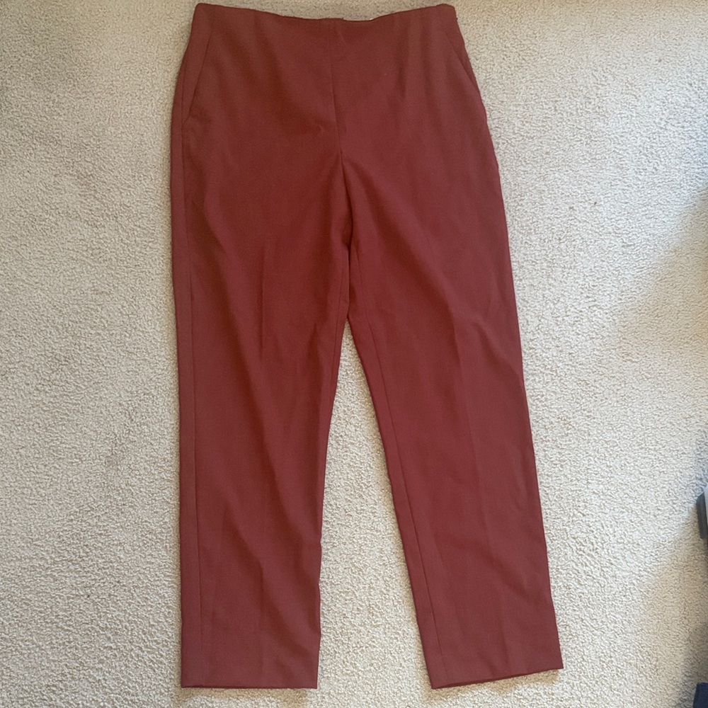 Ann Taylor The Ankle in Curvy Women's Rust slim  Leg Pants 6 NWT